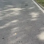 惜缘呐