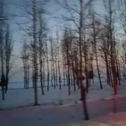 轻舟。