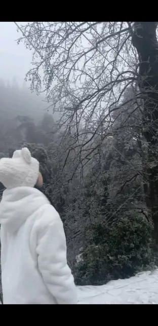 新年快乐💕