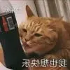 三角函数q