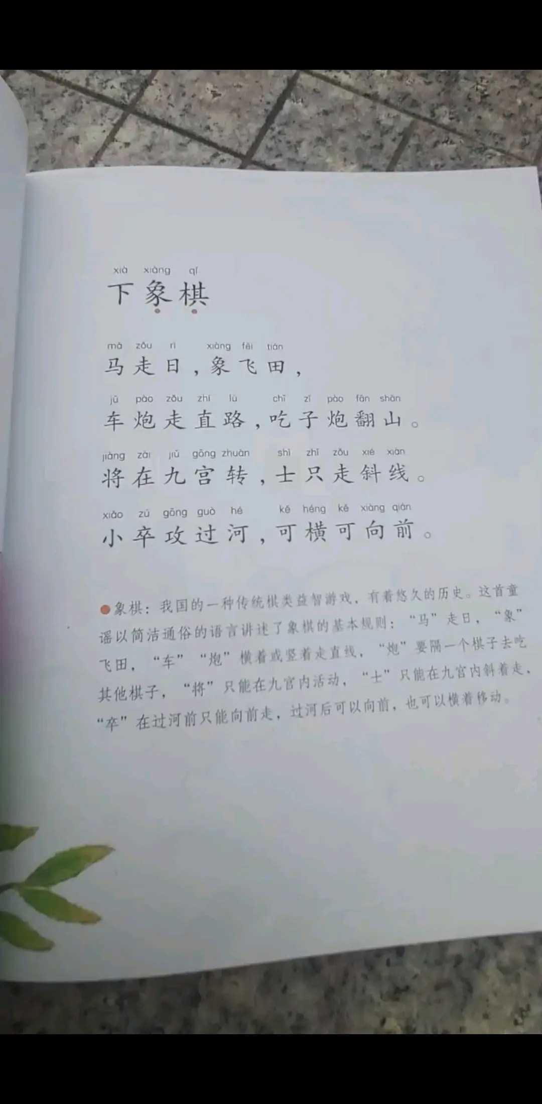 下象棋