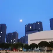 异物钳上