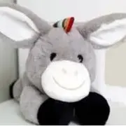 小棗樹
