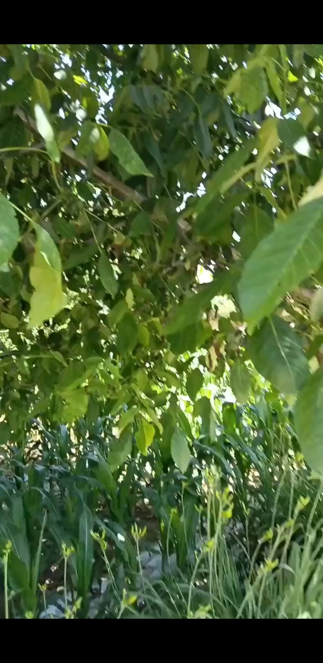 123