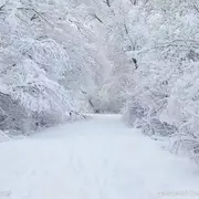 最初是你多好