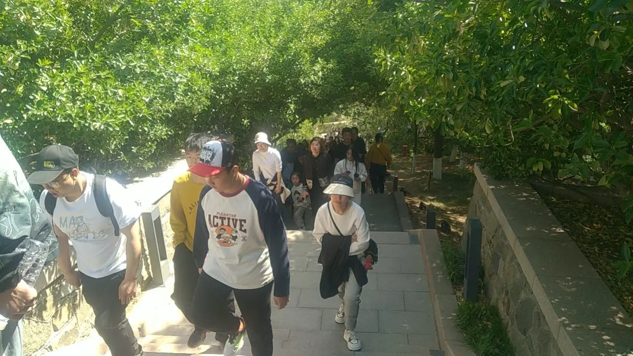 ゝＭ丶╭⌒小川丶ゞ主播图片