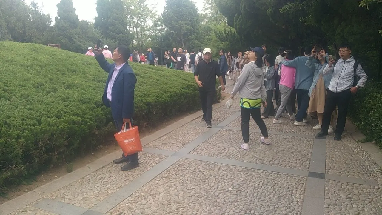 ゝＭ丶╭⌒小川丶ゞ主播图片