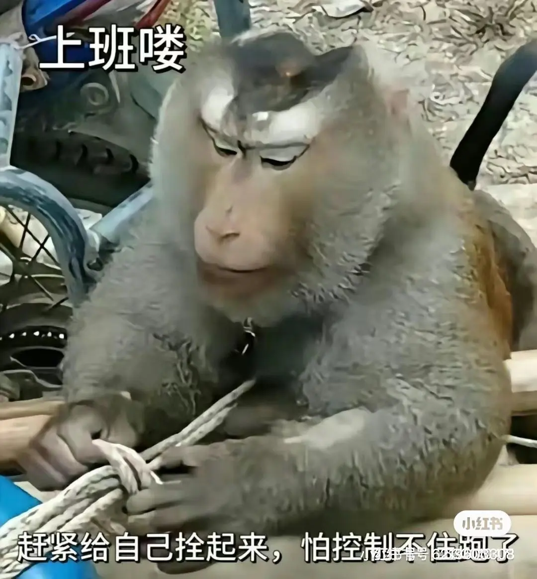 维维🧚‍♂️主播图片