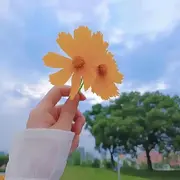 有缘再见🥰