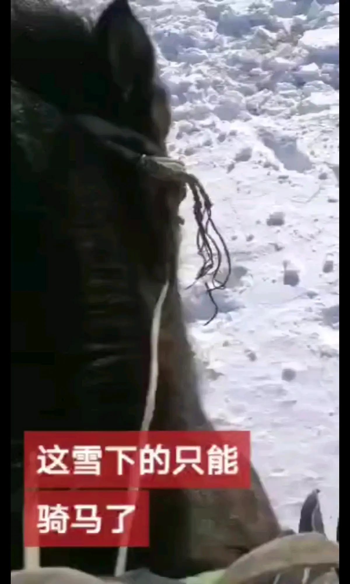 来个小作品