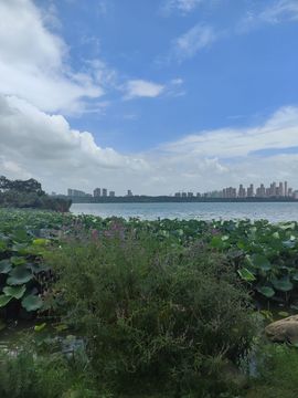 婷婷💕感恩有你陪伴的图片