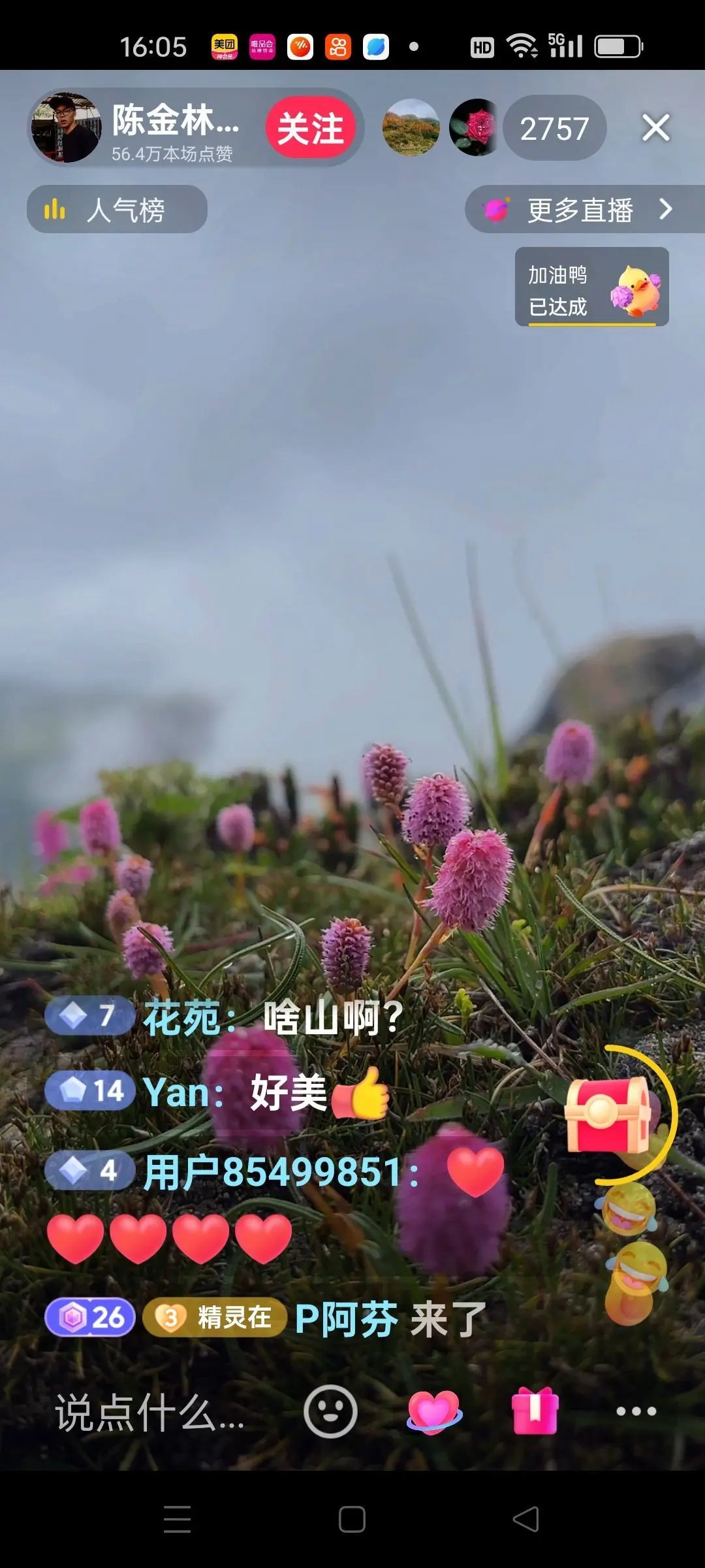 无聊听歌🍀马年好运主播图片