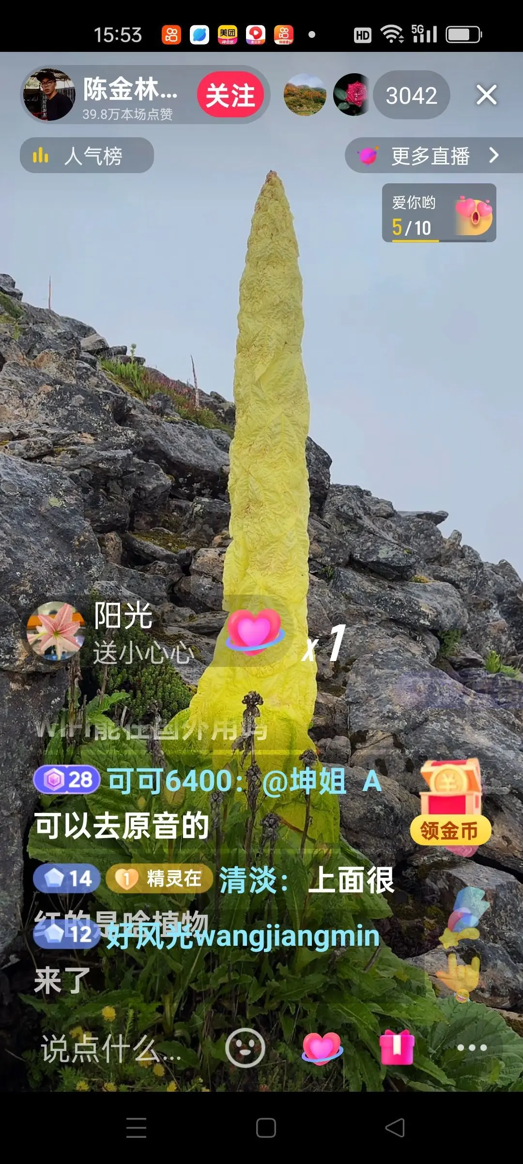 无聊听歌🍀马年好运主播图片