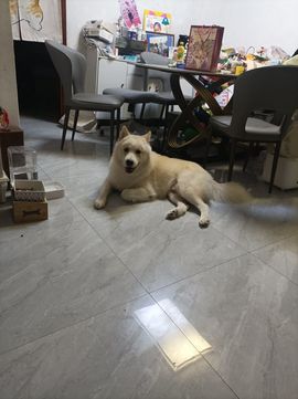 富少0*的图片