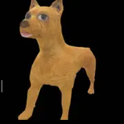 遇见我是想去