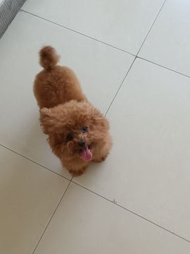 天宝❤️唱跳PK全能的图片
