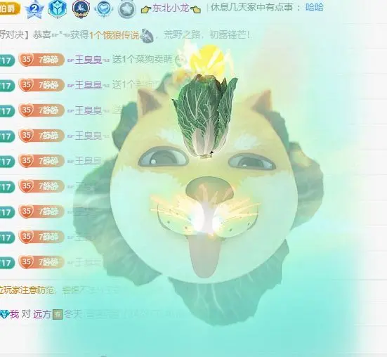 7静待花开的主播照片