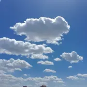 风哥💞
