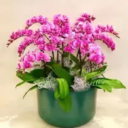 老公老🌹