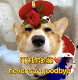 晚星𝐲𝐨𝐥𝐨的图片