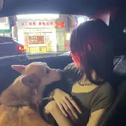 抓老鼠的小葵-姐夫的用户头像