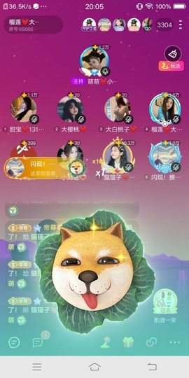 猫猫子💓窈窕淑女～的图片