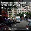 龙龙3c1