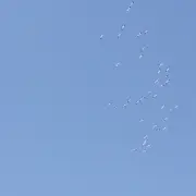 ✨⭐明楼⭐A座⭐