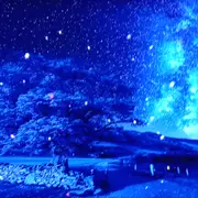 呢大鱼