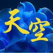 《天空》com