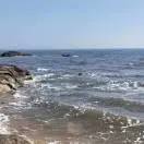 张爸爸dw