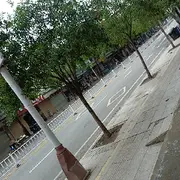 一品镖客