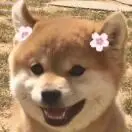 辰星co