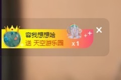 Lily喵的图片