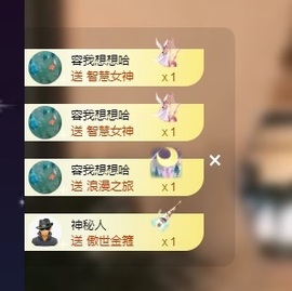 Lily喵的图片