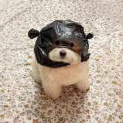 富贵.！