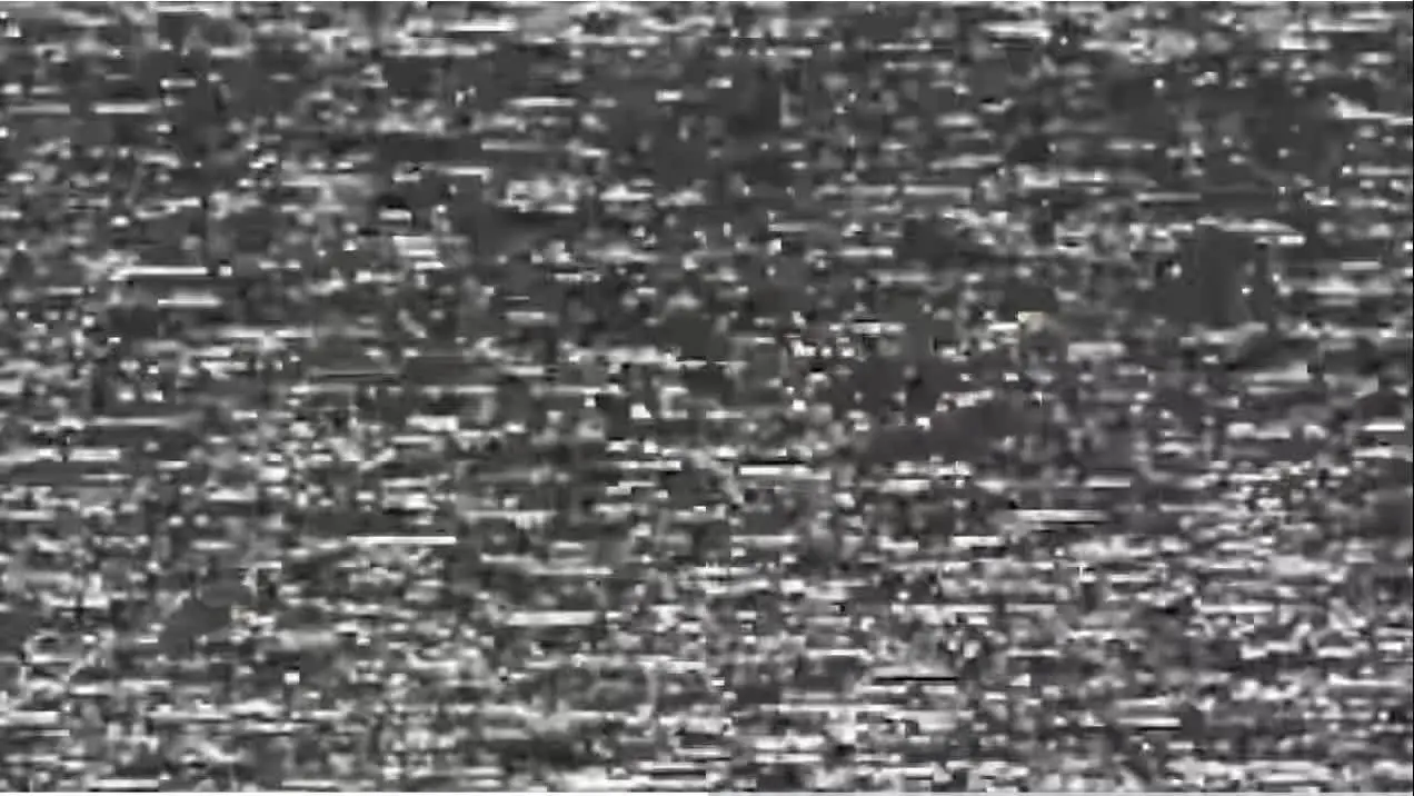 狗哥记事0005