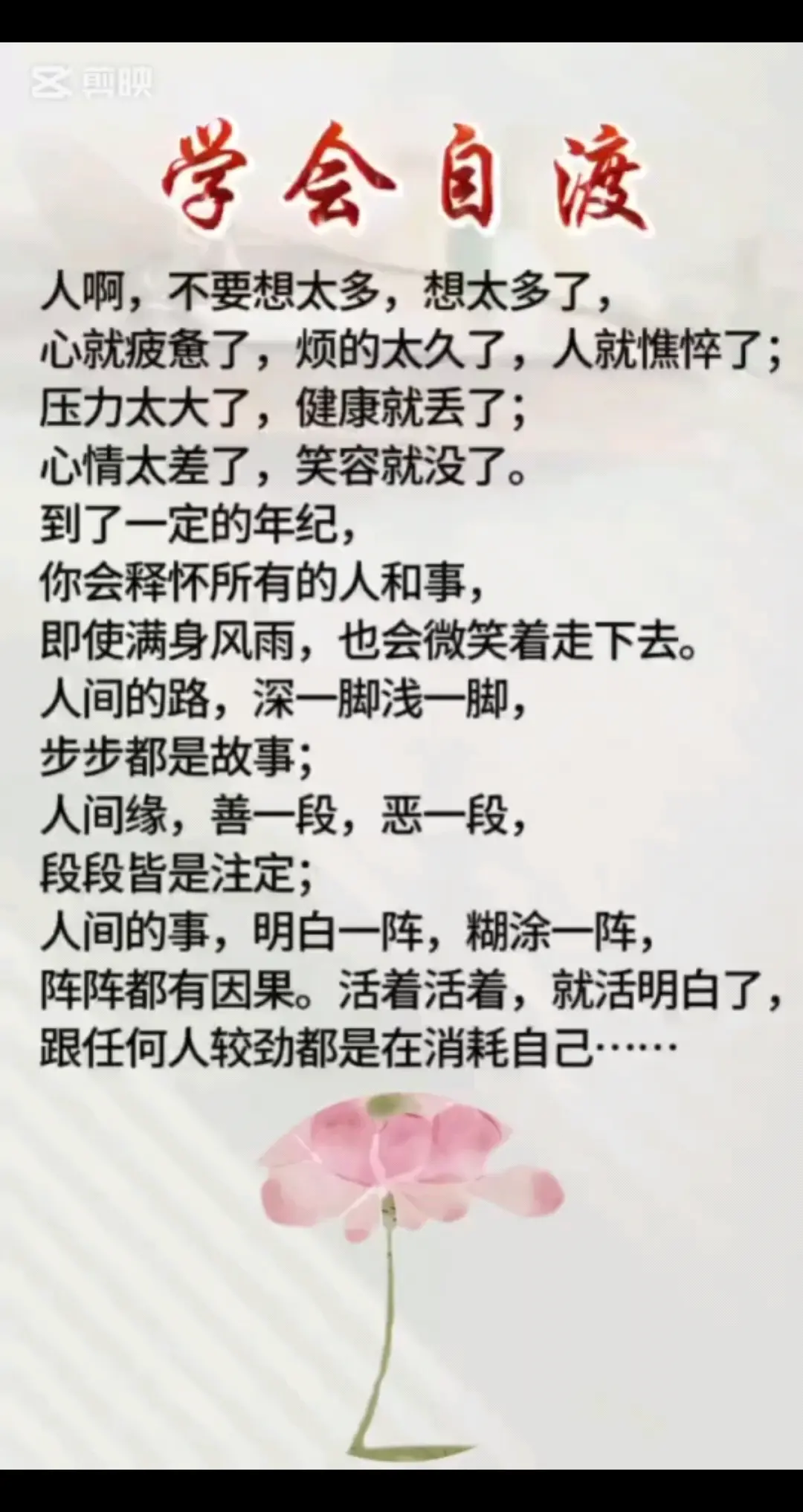 学会善待自己一半清醒