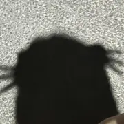 Efhjvm