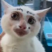 我的特长就是特长丶