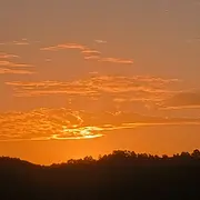 花♬樓