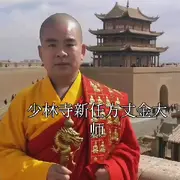🐰聪明的兔子🐰