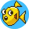 小黄鱼cky