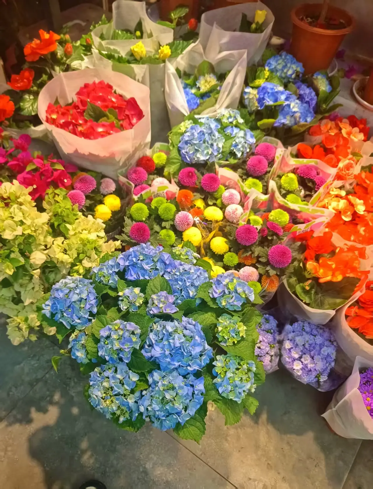 ღ娜娜ぃ安静唱歌🍀的图片