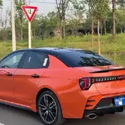 伍佰的嘛婆
