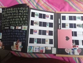 养只鹿退了主播照片