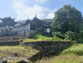 💫玲萌🌺独尊💫的图片