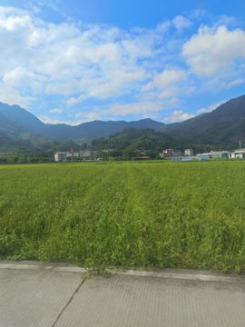 玟玟🌸挺住的图片