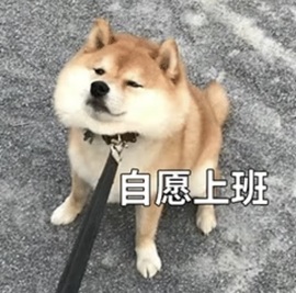 萱萱20号生日庆的图片