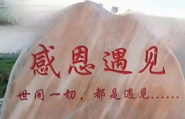 荣儿丫丫吖的图片